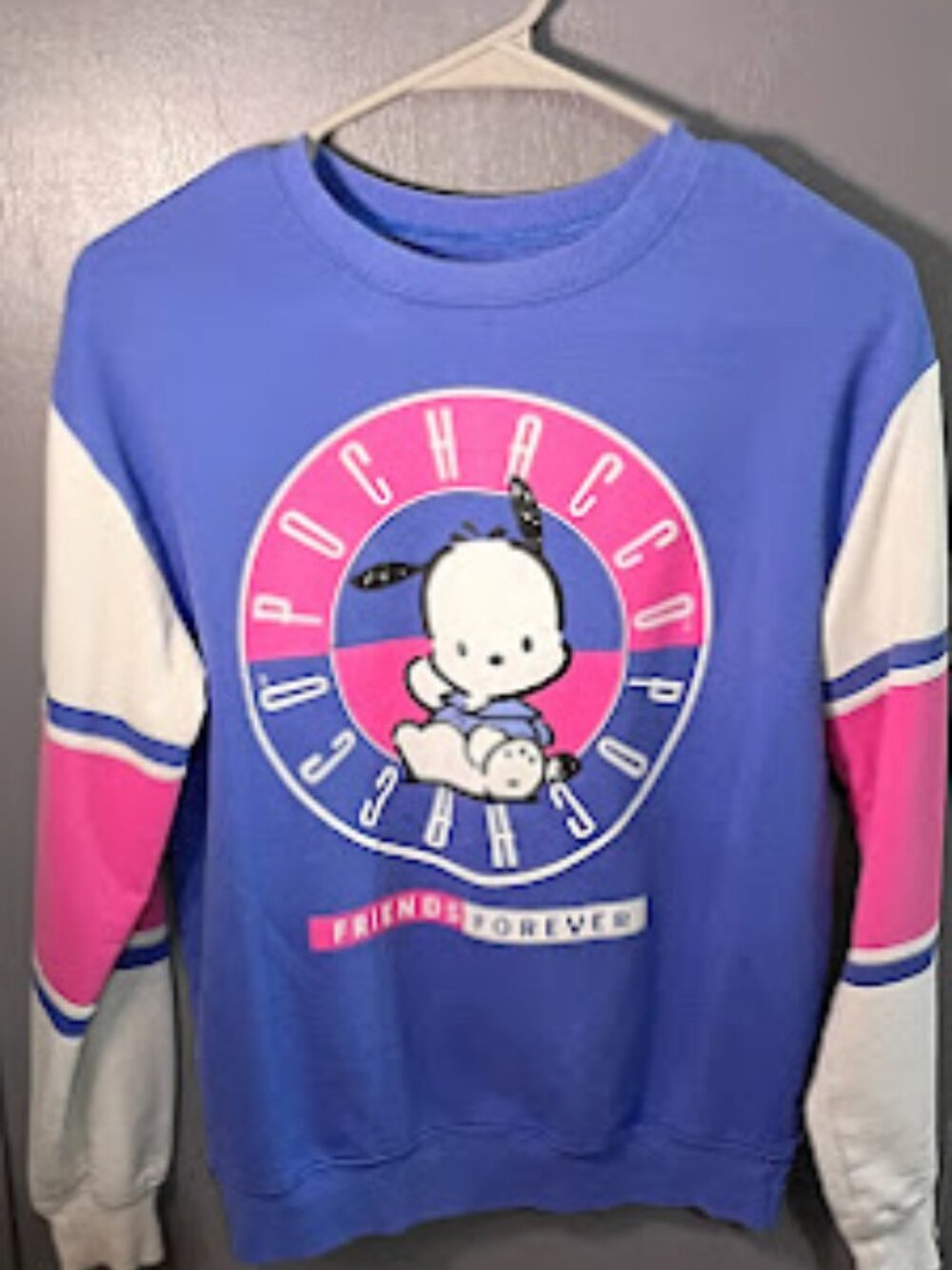 Sanrio Pochacco Retro Colorblock Friends Forever Crewneck XS